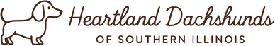 Heartland Dachshunds of Southern Illinois