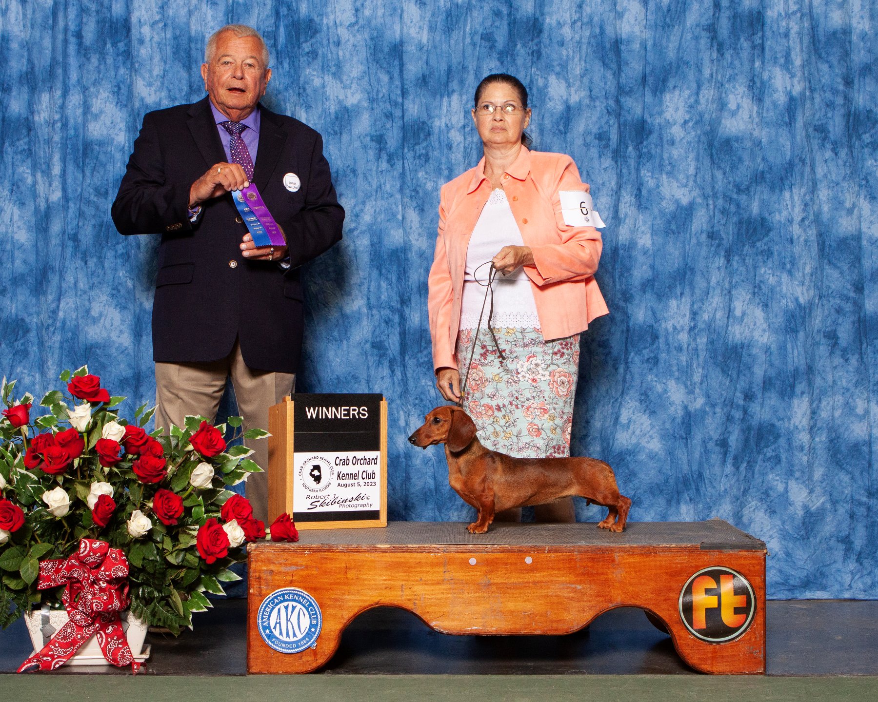 A Heartland Dachshund being presented at a dog show