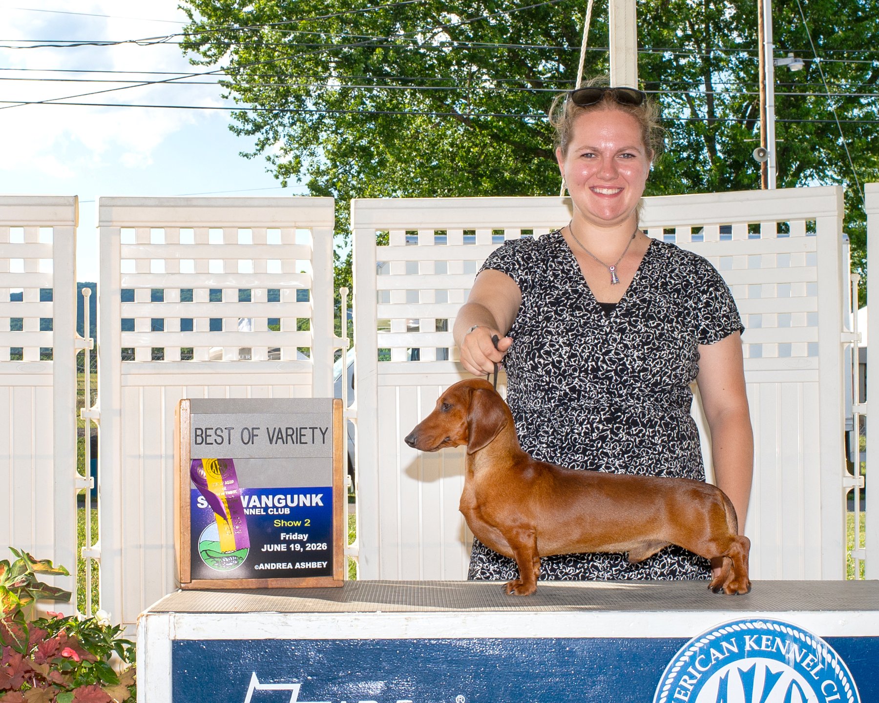 A Heartland champion Dachshund with an award