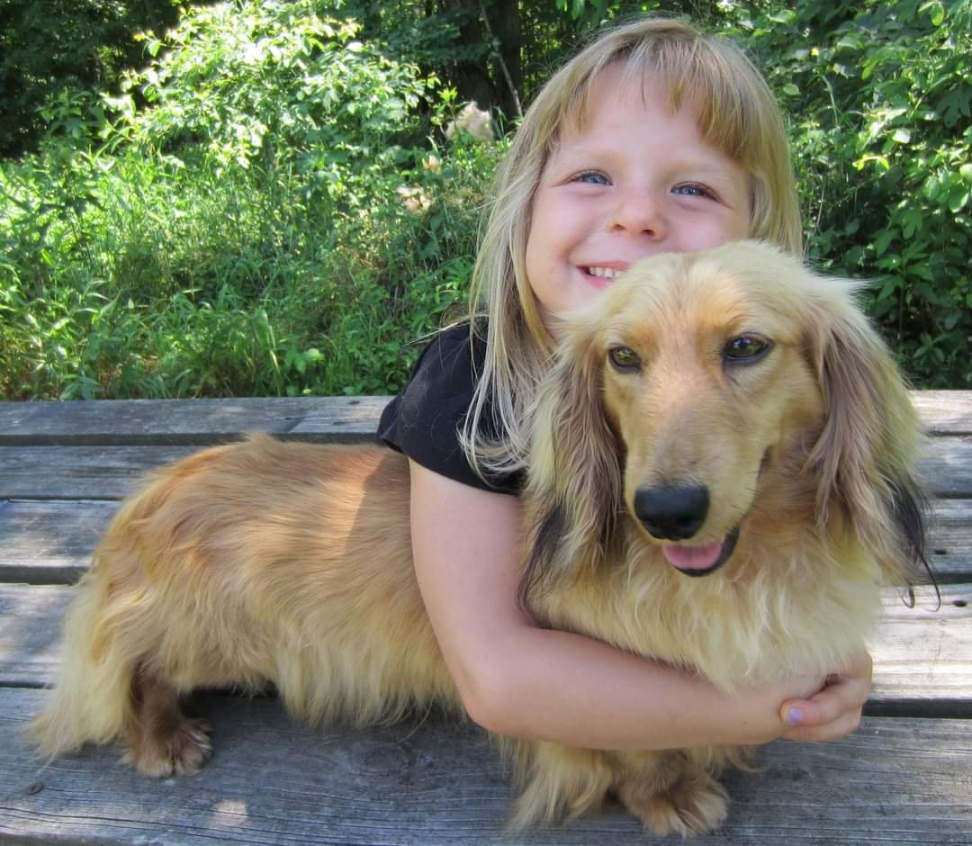 A young family member hugging a Heartland Dachshund