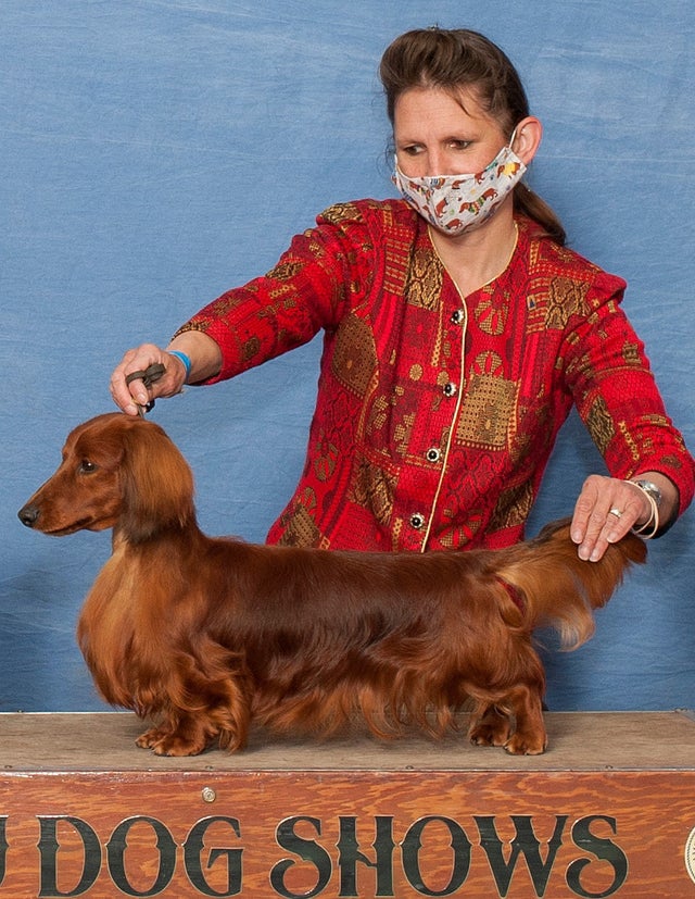 Grand Champion Vie Libre Villi Brante